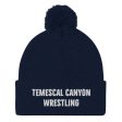 Temescal Canyon Wrestling Pom-Pom Beanie Sale