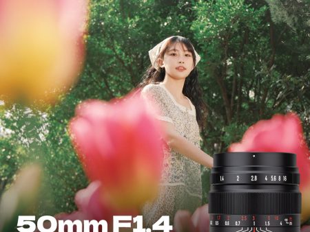 50mm F1.4 Manual Focus Prime Lens for Panasonic Olympus Micro 4 3 Mirrorless Cameras, APS-C MF Large Aperture Standard Fixed Lens, Fit for LUMIX G7, GX85, GX9, G95, GH5, GH6, G100, G9 Supply