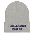 Temescal Canyon Wrestling Cuffed Beanie Online