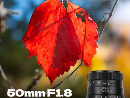 50mm F1.8 Manual Focus Lens Fit for Nikon Z Mount on Sale