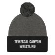 Temescal Canyon Wrestling Pom-Pom Beanie Sale