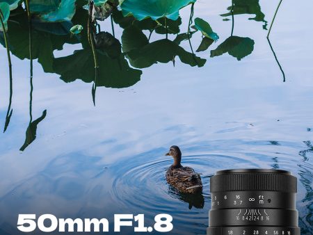 50mm F1.8 Manual Focus Lens Fit for Sony E-Mount For Discount