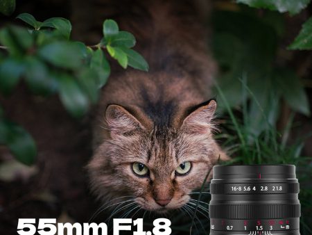 55mm F1.8 Full Frame Large Aperture Manual Focus Mirrorless Camera Lens, Fit for Canon RF-Mount EOS-RP, EOS-R, EOS-R5, EOS R7, EOS-R6, EOS-R3, EOS-R10 Online now